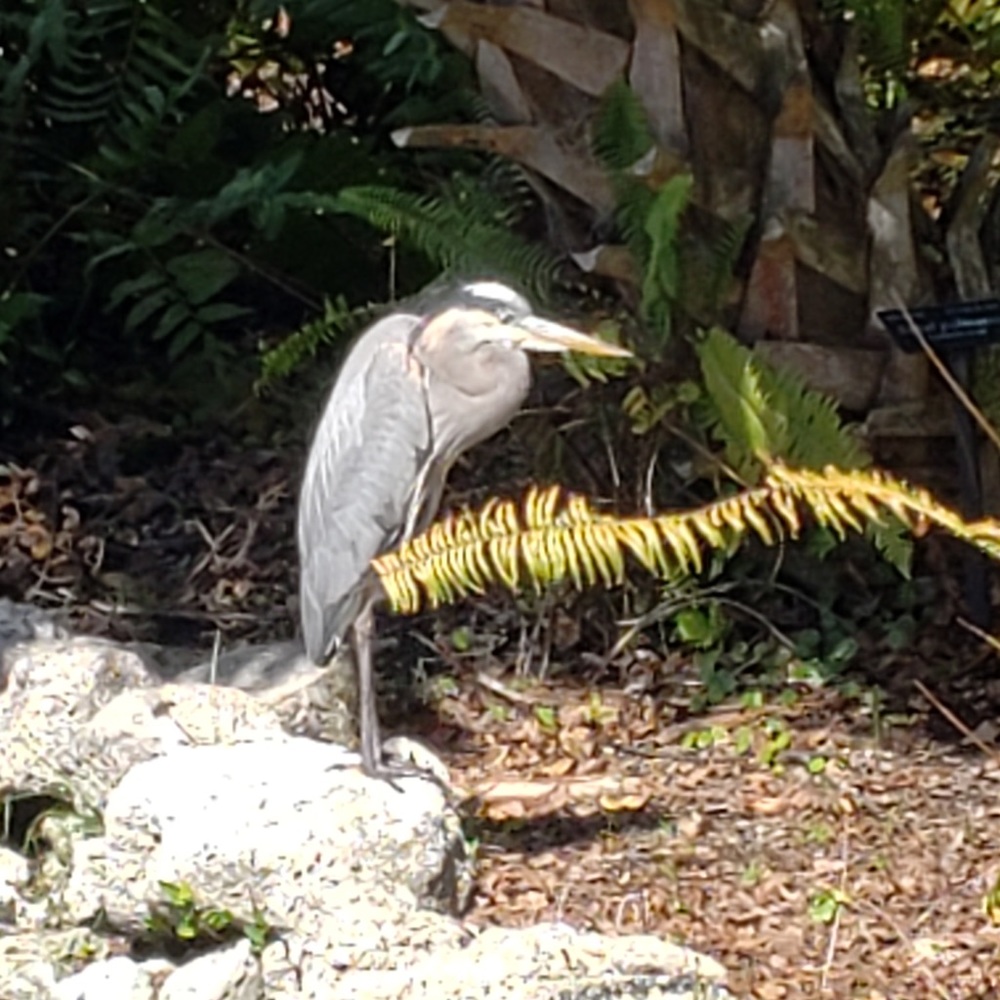 Meet your Posher, Colleen